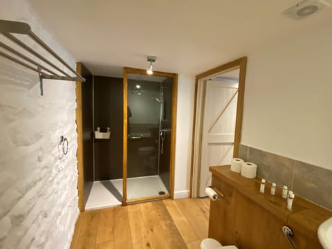 Annex Feature Double or Twin Room | Bathroom | Shower, free toiletries, hair dryer, towels