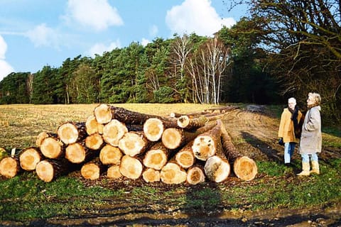 Immediate Surroundings [summer] (&lt;1 km)