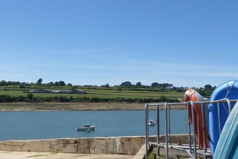 Immediate Surroundings [summer] (&lt;1 km)