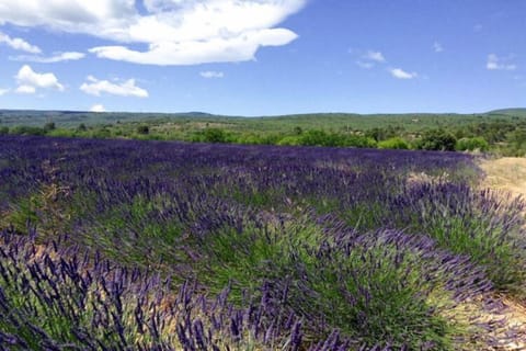 Surroundings [summer] (1-5 km)