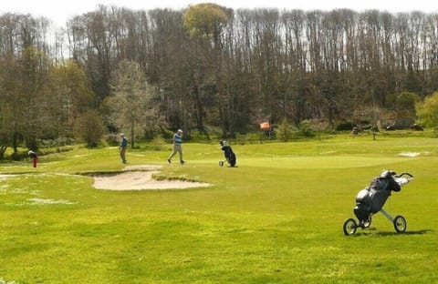 Region [summer] (&gt;5 km)