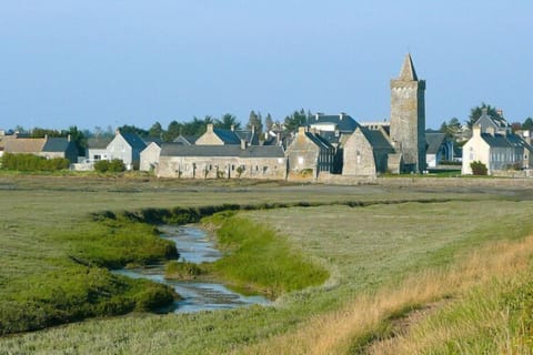 Region [summer] (&gt;5 km)