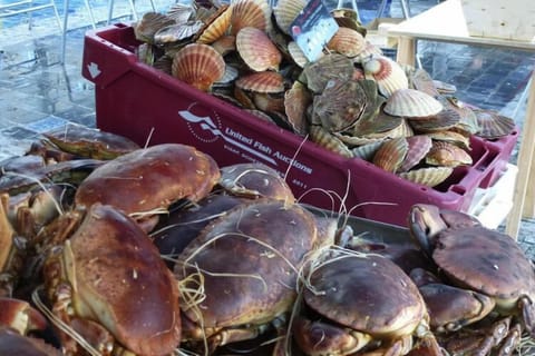 Region [summer] (&gt;5 km)