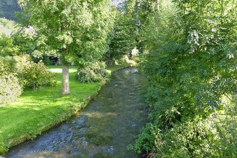 Immediate Surroundings [summer] (&lt;1 km)