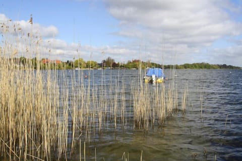 Immediate Surroundings [summer] (&lt;1 km)