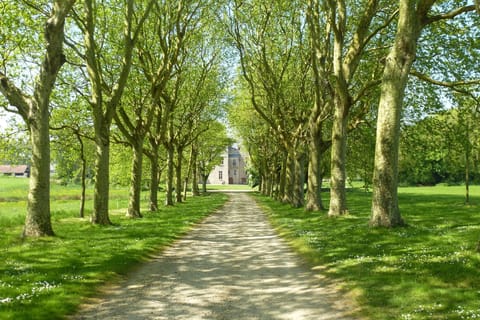 Region [summer] (&gt;5 km)