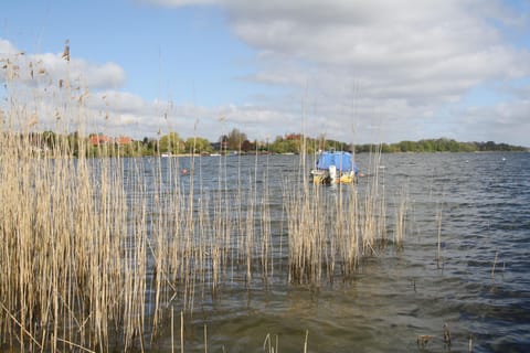 Surroundings [summer] (1-5 km)