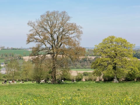 Immediate Surroundings [summer] (<1 km)