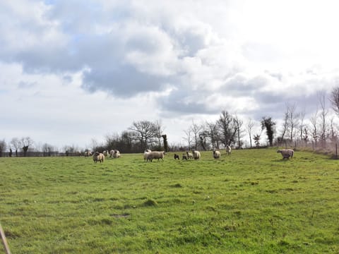 View from Holiday Home [summer]