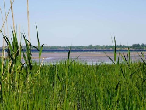 Surroundings [summer] (1-5 km)