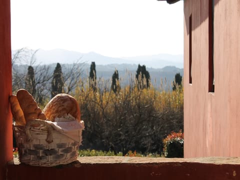 View from Holiday Home [summer]