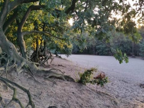 Region [summer] (>5 km)