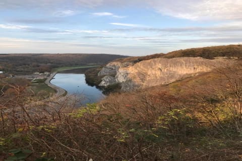 Region [summer] (>5 km)