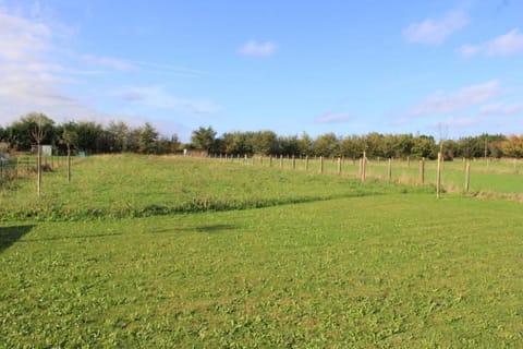 Immediate Surroundings [summer] (&lt;1 km)