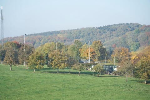 Region [summer] (>5 km)