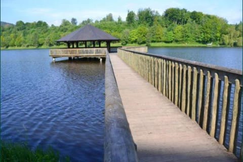 Region [summer] (>5 km)