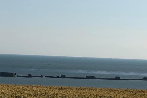 Region [summer] (&gt;5 km)