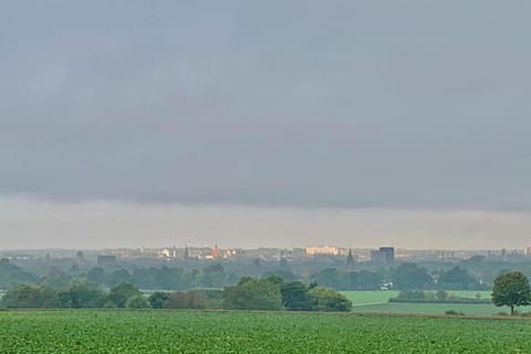 Region [summer] (&gt;5 km)