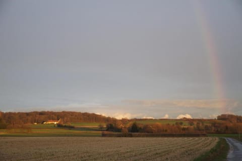 Region [summer] (&gt;5 km)