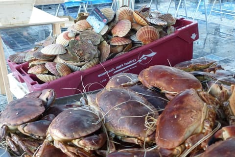 Surroundings [summer] (1-5 km)