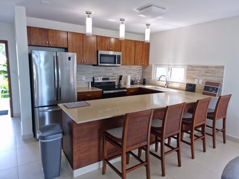 Premium Penthouse | Private kitchen | Full-size fridge, microwave, oven, stovetop