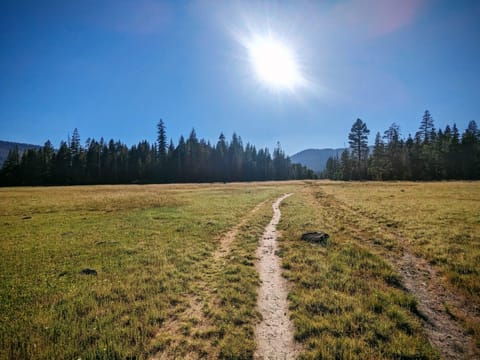 Exterior: Paige Meadows is located a short walk up the street, great for an easy family stroll or a hike into the mountains along the famous Tahoe Rim Trail