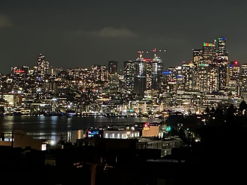 Rooftop and Master Bedroom has this stunning night view of City and Union Lake