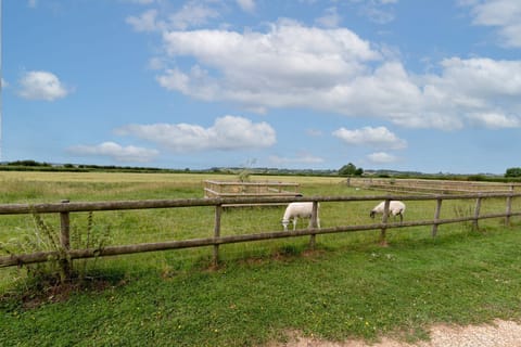 Views from Bluebell lodge