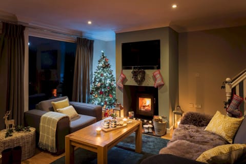 Log burner at KingFisher