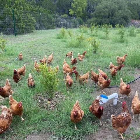 Dfa7cf27 c3b3 400d aa80 299ec83e1e57