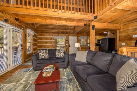 Sleeper Sofa (sleeps 2)