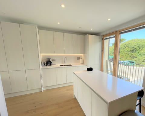 Kitchen and living area