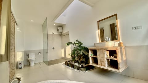 Luxury Room | Bathroom | Separate tub and shower, hair dryer, bathrobes, slippers