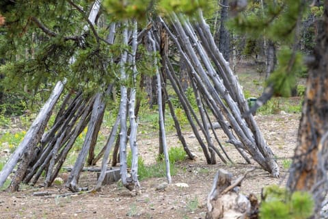 Chill under the teepee and let the trees do the talking.