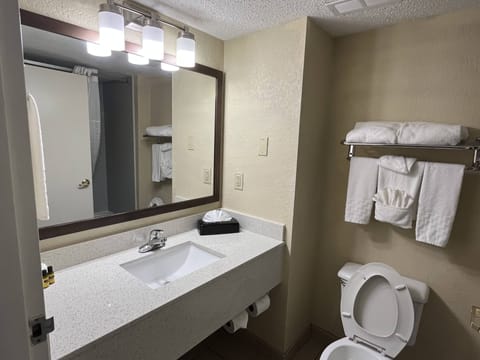 Basic Room, 1 King Bed, Non Smoking, Microwave | Bathroom | Combined shower/tub, free toiletries, hair dryer, towels