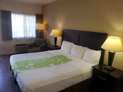 Standard Room, 1 King Bed | Pillowtop beds, iron/ironing board, free WiFi, bed sheets