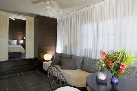 32-inch flat-screen TV with satellite channels, TV