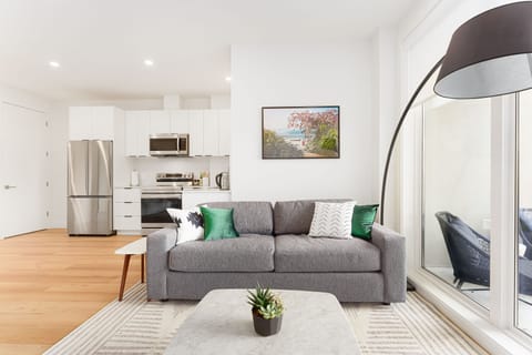 Queen pull out couch