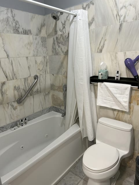 Double Room | Bathroom | Shower, free toiletries, hair dryer, bidet