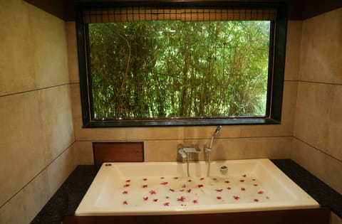 Indoor spa tub