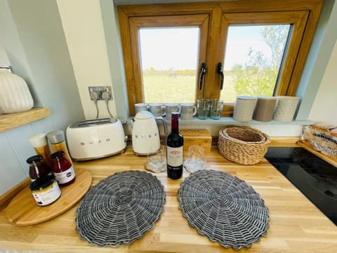 Warm, cosy Shepherds Hut near coastal path! Cabin in Wales