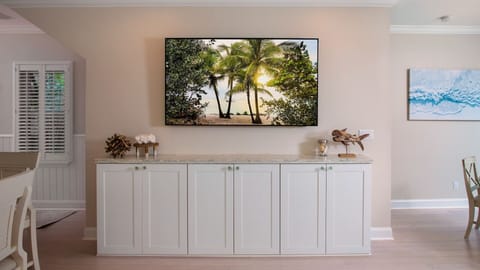 The large flat screen TV...