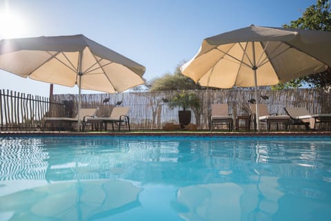 Outdoor pool, pool umbrellas, sun loungers