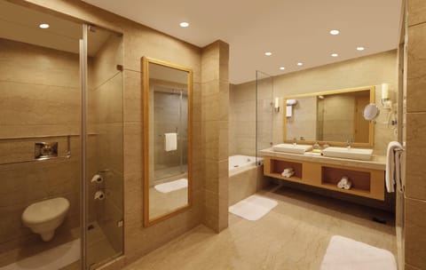 Presidential Room | Bathroom | Shower, rainfall showerhead, designer toiletries, hair dryer