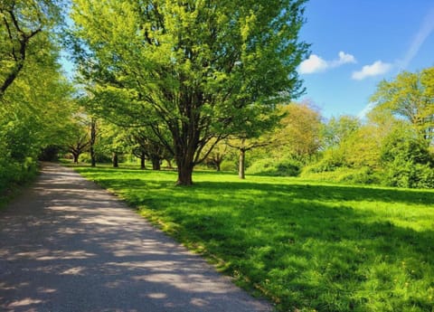 Apartment | View from property