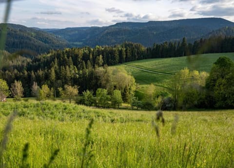 House | View from property