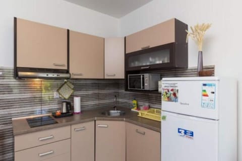 Apartment | Private kitchen | Fridge, microwave, stovetop