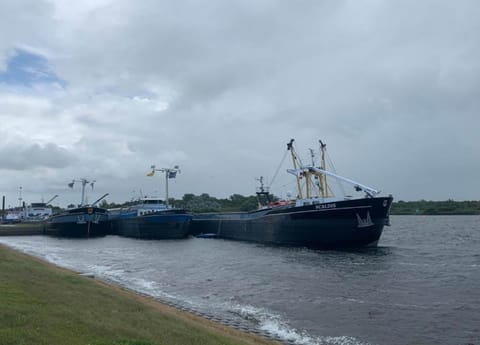 House | View from property