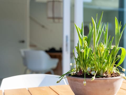 House | Interior detail