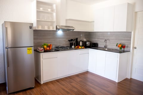 Comfort House | Private kitchen | Full-size fridge, stovetop, toaster, rice cooker